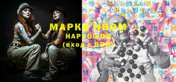 ГАЛЛЮЦИНОГЕННЫЕ ГРИБЫ Богданович