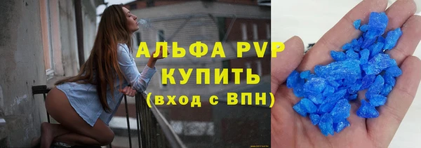 ГАЛЛЮЦИНОГЕННЫЕ ГРИБЫ Богданович