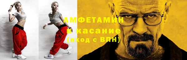 ГАЛЛЮЦИНОГЕННЫЕ ГРИБЫ Богданович