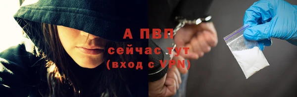 ГАЛЛЮЦИНОГЕННЫЕ ГРИБЫ Богданович