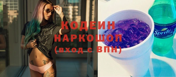 ГАЛЛЮЦИНОГЕННЫЕ ГРИБЫ Богданович