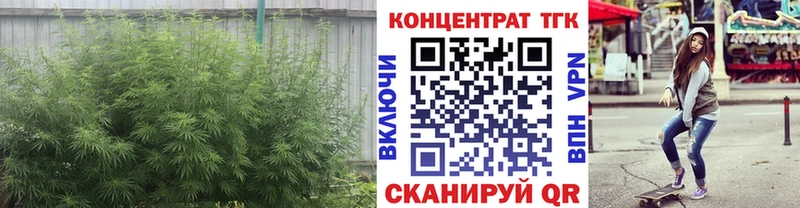 ТГК гашишное масло  Шарыпово 
