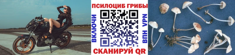 купить закладку  Шарыпово  Псилоцибиновые грибы мухоморы 